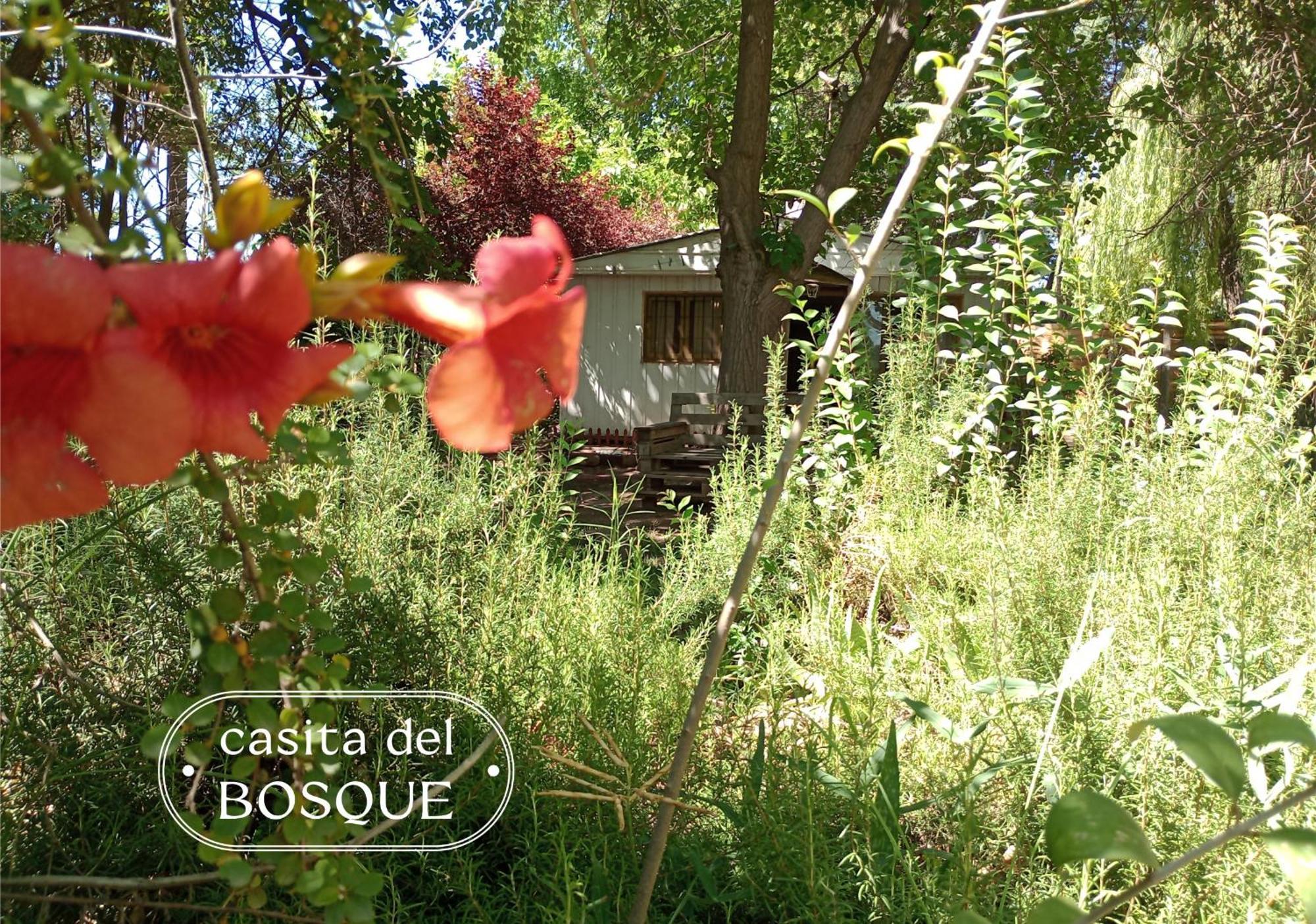 Casita Del Bosque *