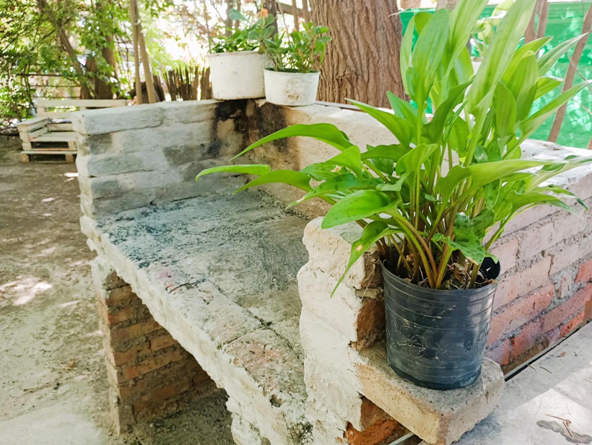 Casita Del Bosque *